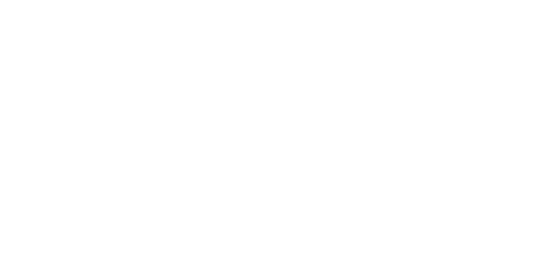 stake-logo